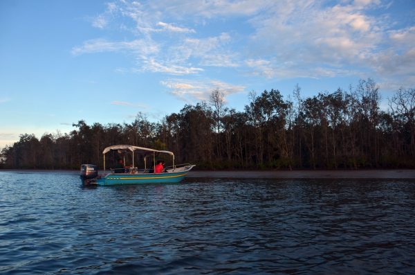 Wildlife Cruises at the Kuching Wetlands National Park and surrounding areas.